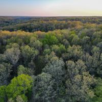 Timber Hideaway 37