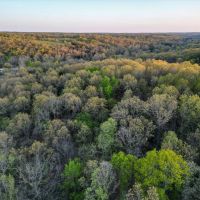 Timber Hideaway 37 images 2