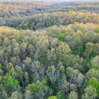 Timber Hideaway 37 images 3