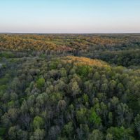 Timber Hideaway 37 images 4
