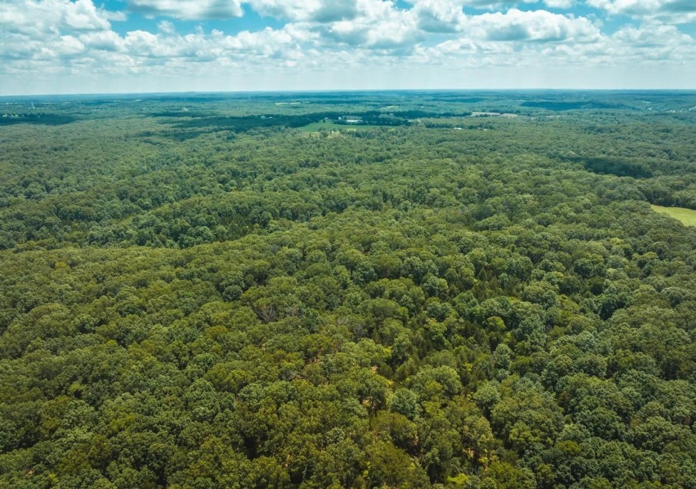 Camp Creek Tract 1 featured image