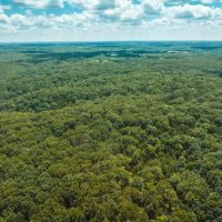 Camp Creek Tract 1