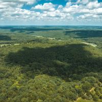 Camp Creek Tract 1 images 4