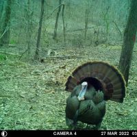 Buck Hollow Farm images 3