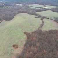LAND FOR SALE - 72 ACRES MIXED HABITAT TILLABLE - ECKERTY INDIANA - CRAWFORD COUNTY