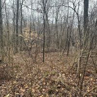 LAND FOR SALE - 72 ACRES MIXED HABITAT TILLABLE - ECKERTY INDIANA - CRAWFORD COUNTY images 2