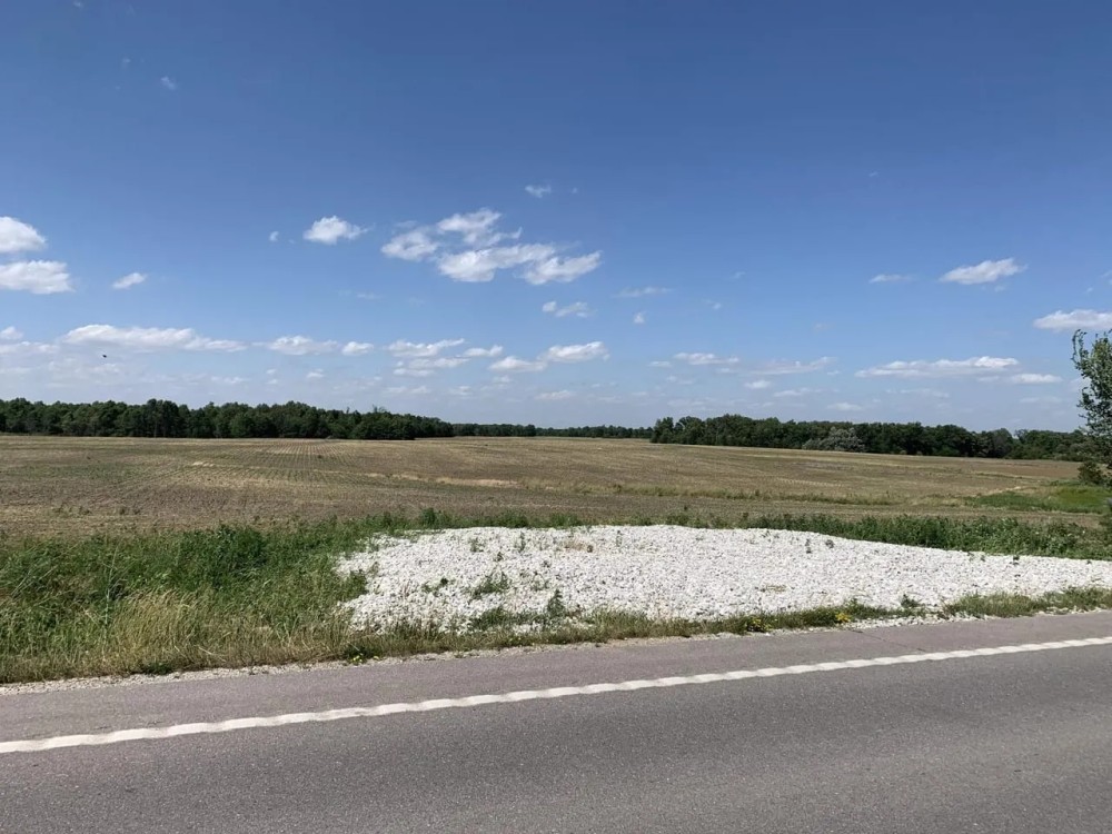 Moberly Whitetail Tract 16 featured image
