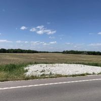 Moberly Whitetail Tract 16