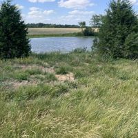 Moberly Whitetail Tract 16 images 2