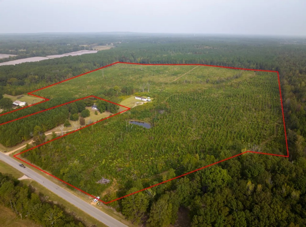 73.33 Acres - Hwy 46 - Webster County featured image