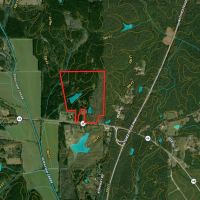73.33 Acres - Hwy 46 - Webster County images 2