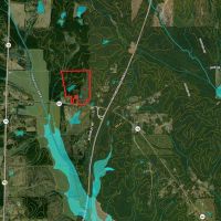 73.33 Acres - Hwy 46 - Webster County images 3