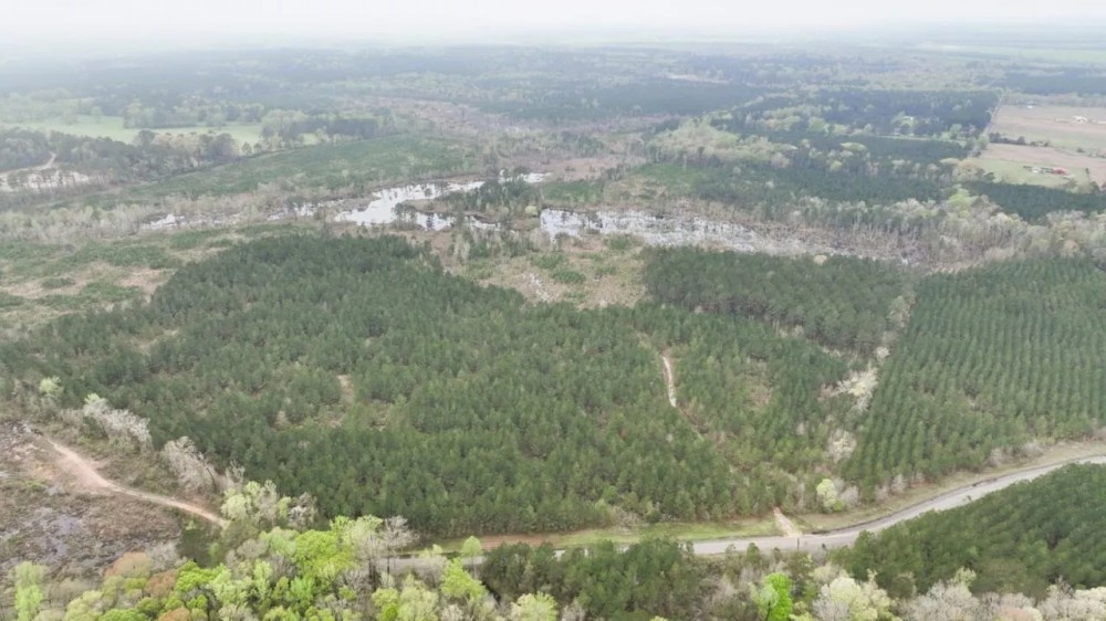 Ferguson Road Tract Red River Parish 162.2 Acres - featured image