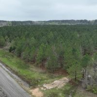 Ferguson Road Tract Red River Parish 162.2 Acres - images 3