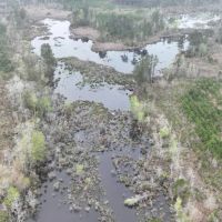Ferguson Road Tract Red River Parish 162.2 Acres - images 4