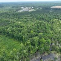 26.5 acres of Recreational Land For Sale in Gates County NC images 3