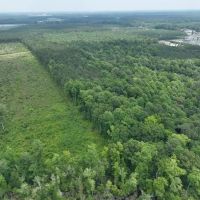 26.5 acres of Recreational Land For Sale in Gates County NC images 4