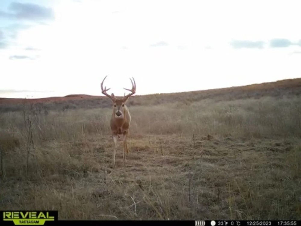 Sand Creek NW Ranch featured image