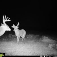 Sand Creek NW Ranch images 2