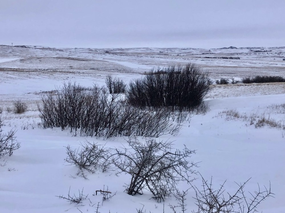 The Kilsdonk Ranch featured image
