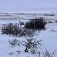The Kilsdonk Ranch