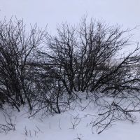 The Kilsdonk Ranch images 2