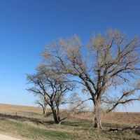 Pratt County 127 images 2