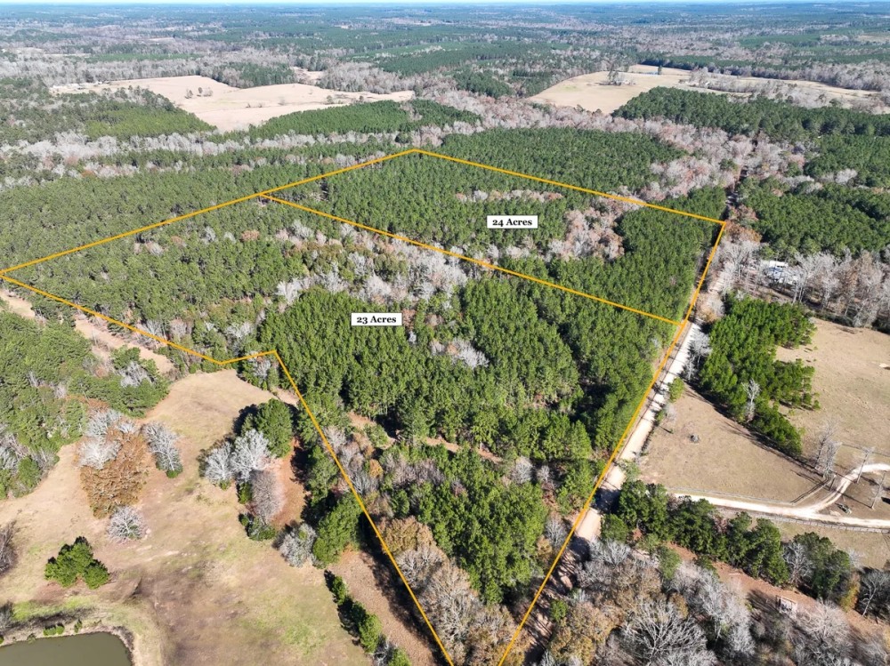 24 Acres Puckett Cutoff featured image
