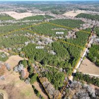 24 Acres Puckett Cutoff