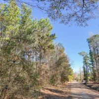 24 Acres Puckett Cutoff images 4