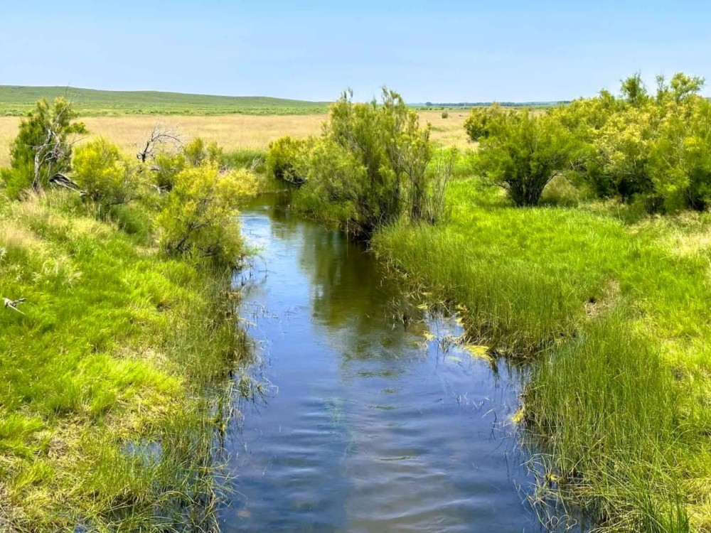 Wallahachie Ranch featured image