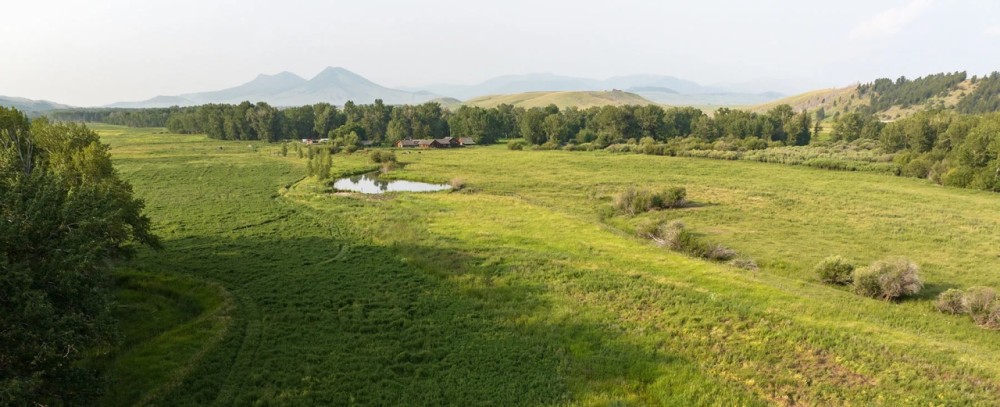 Cole Creek Homestead featured image