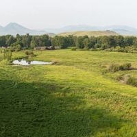Cole Creek Homestead