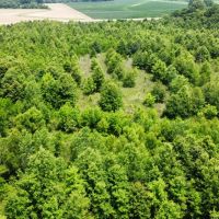 79 Acres in Tallahatchie County MS