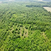 79 Acres in Tallahatchie County MS images 2