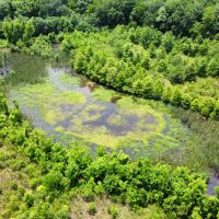 79 Acres in Tallahatchie County MS images 3