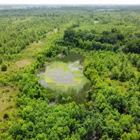 79 Acres in Tallahatchie County MS images 4