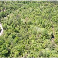 95.6 Acres in Newton County in Newton MS