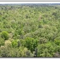 95.6 Acres in Newton County in Newton MS images 2