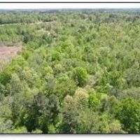 95.6 Acres in Newton County in Newton MS images 3