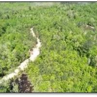 95.6 Acres in Newton County in Newton MS images 4