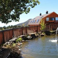Grey Wolf Resort images 1