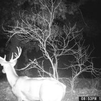 Riverfront Hunting Land in Evant TX images 2