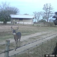 Riverfront Hunting Land in Evant TX images 3
