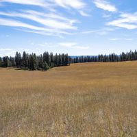 Hansen Ridge Ranch images 3