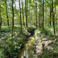 The Perfect Hunting and Home Site images 2