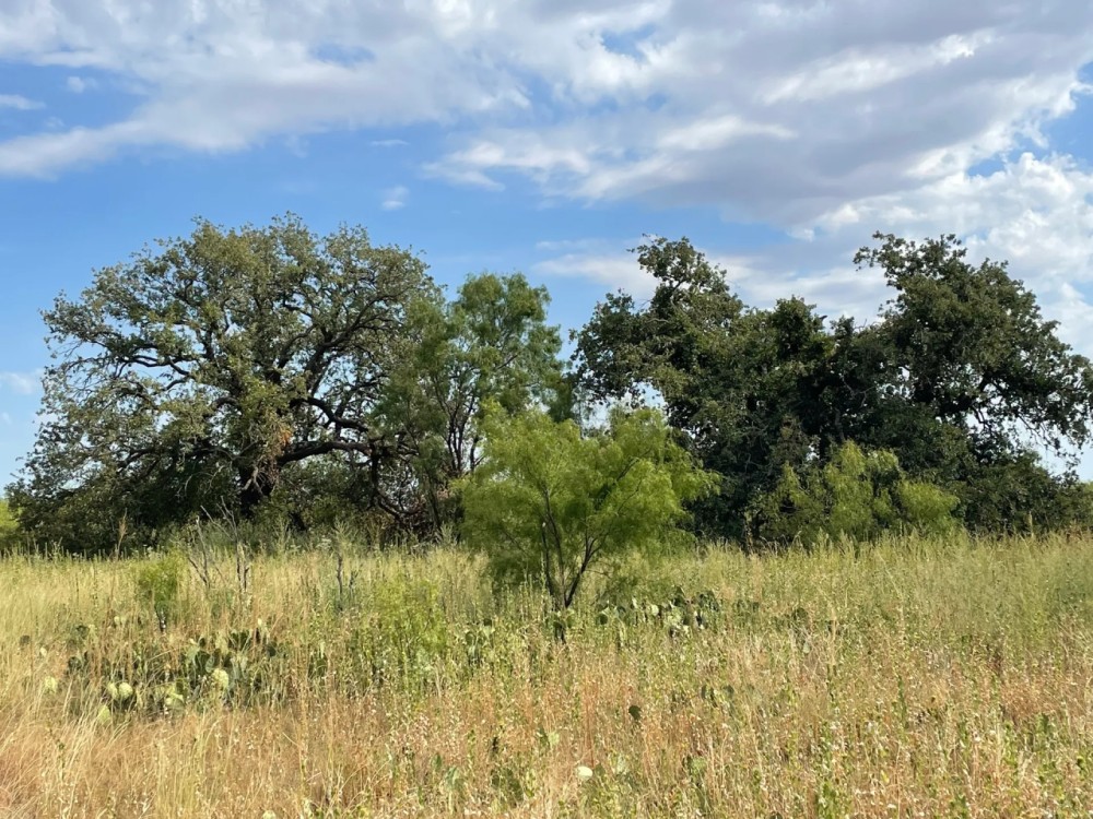Price Reduction 78 - Ac West TBD CR 364 Anson featured image