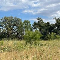 Price Reduction 78 - Ac West TBD CR 364 Anson