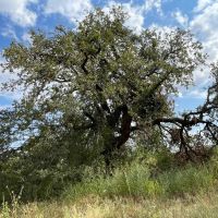 Price Reduction 78 - Ac West TBD CR 364 Anson images 2