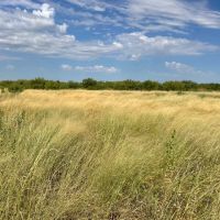 Price Reduction 78 - Ac West TBD CR 364 Anson images 3